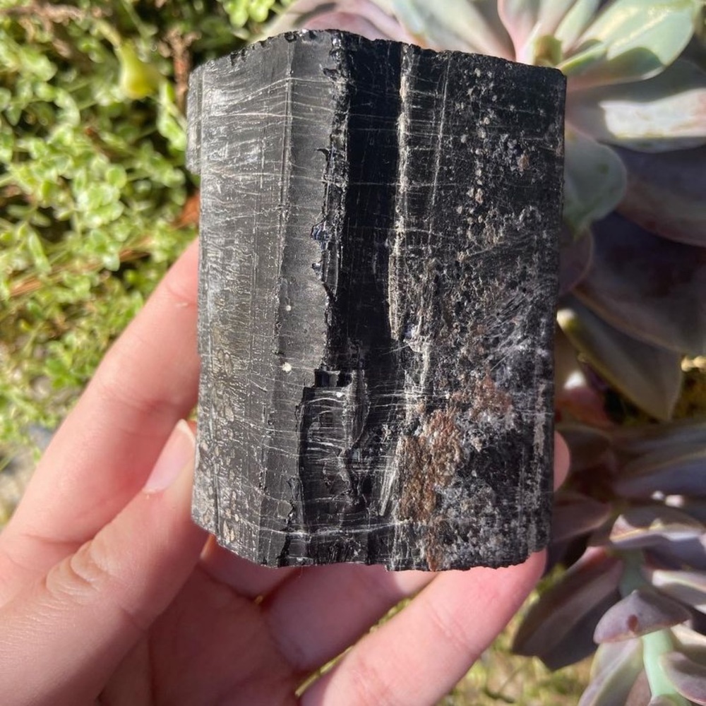 Black Tourmaline Rough Cut Base Specimen
